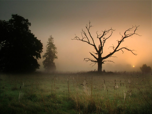 �1757373 �������(a): ����������:1920x1440